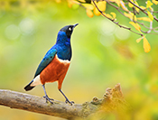Sue Hsu's photo